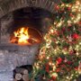 Kerstverlichting snake light wit